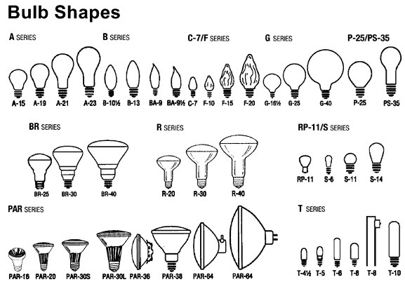 Bulb Standard on sharp and size